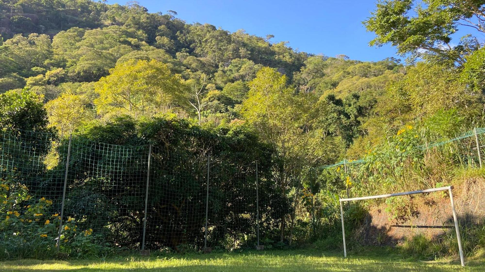 Chale Laranja - Sitio Caldeirao Villa Posse  Eksteriør billede